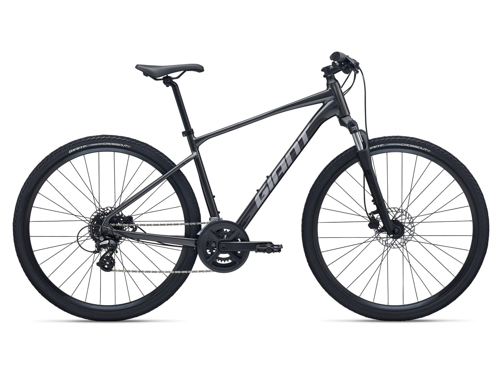 VTC Giant Roam 4 taille M/L disponible chez La Tête dans le Guidon magasin de vélo à Jonzac